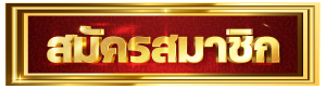 lsmvip777